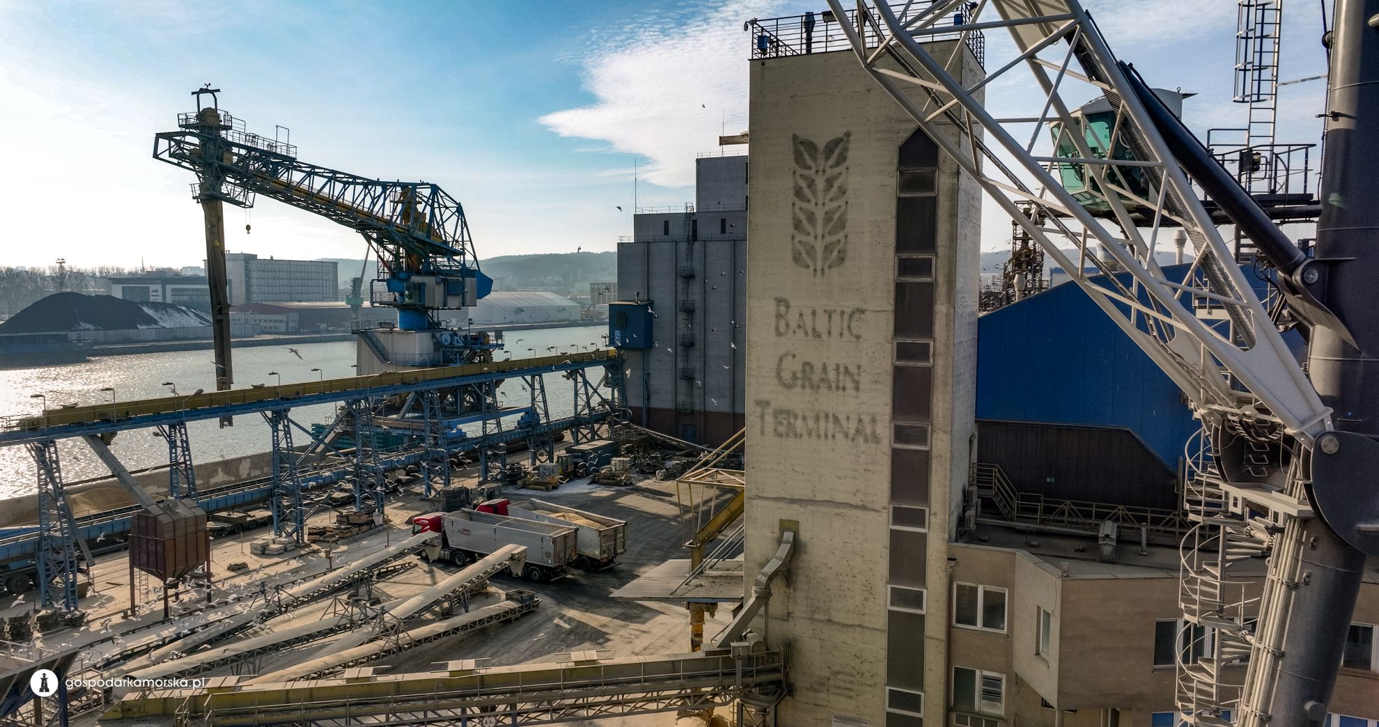  Gdynia Grain Terminal Might Restart Soon. European Commission Set to Decide - MarinePoland.com