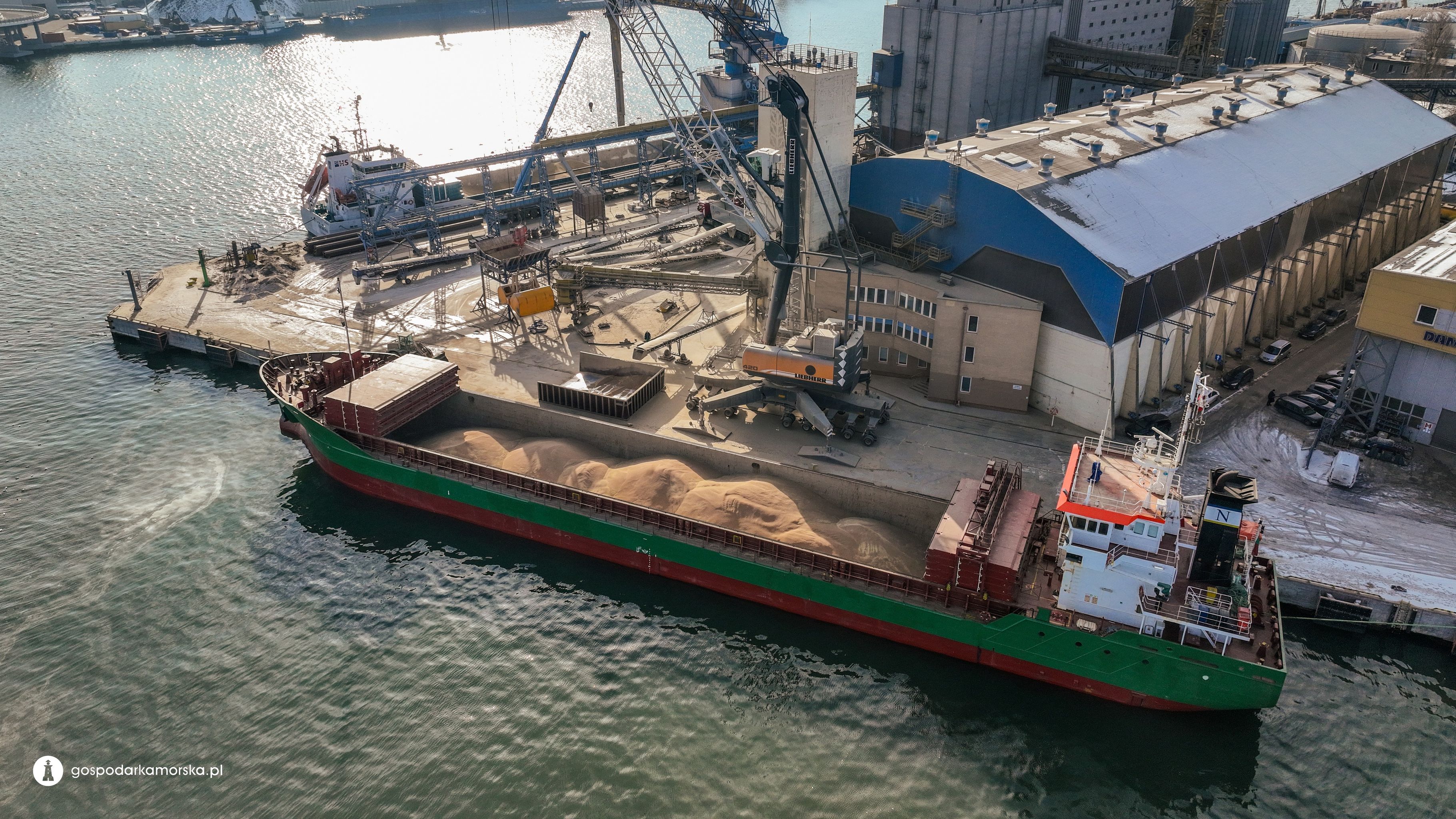 Baltic Grain Terminal Resumes Operations at the Port of Gdynia - MarinePoland.com