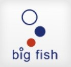 Big Fish Polska Sp. z o.o. - MarinePoland.com