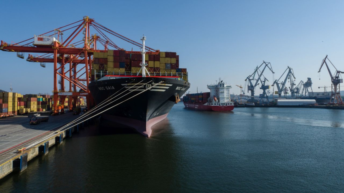 The record-breaking container ship MSC Gaia in BCT [VIDEO] - MarinePoland.com