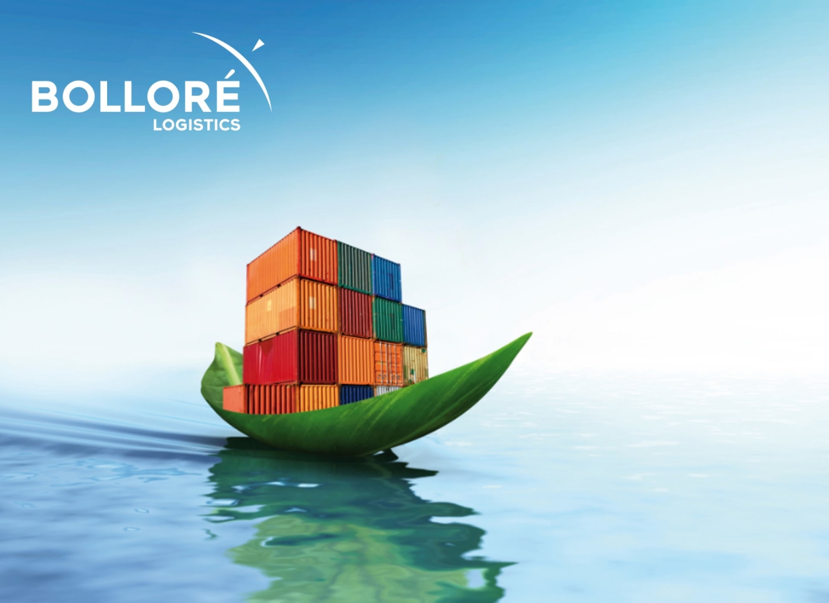 Africa and South America's green lungs are growing. Bolloré Logistics' new project - MarinePoland.com
